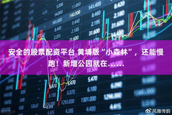 安全的股票配资平台 黄埔版“小森林”，还能慢跑！新增公园就在……