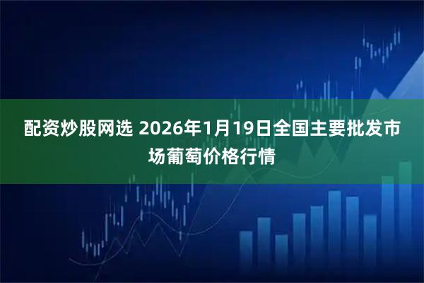 配资炒股网选 2026年1月19日全国主要批发市场葡萄价格行情