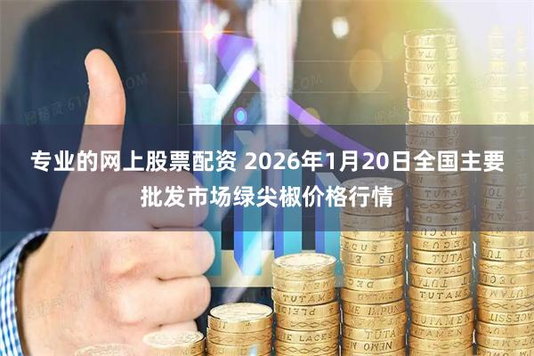专业的网上股票配资 2026年1月20日全国主要批发市场绿尖椒价格行情